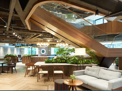 大型辦公室員工區(qū)域綠植擺放