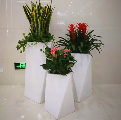 東莞辦公室綠植租賃 組合盆景