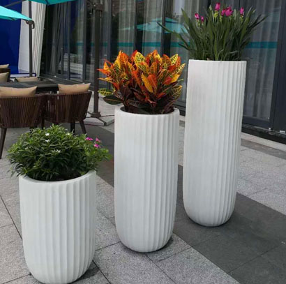 寫(xiě)字樓大型綠植租擺  變?nèi)~木 